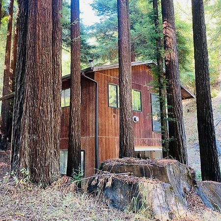 Little House In The Redwoods With A Hot Tub! Apartment Garberville Exterior photo